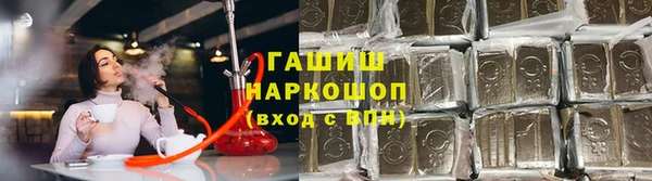 прущие крисы Белокуриха