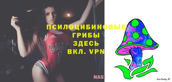 прущие крисы Белокуриха