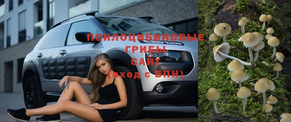 прущие крисы Белокуриха