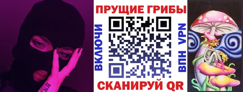 купить закладку Мелеуз Псилоцибиновые грибы Psilocybe